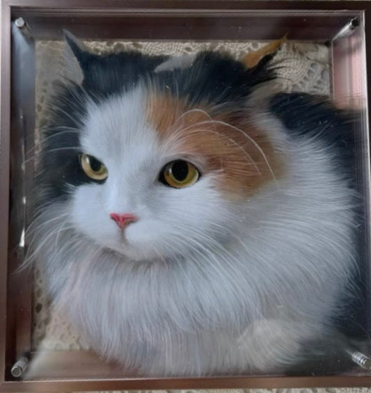 Multilayer 3D Acrylic Pet Portrait (6-Layer)