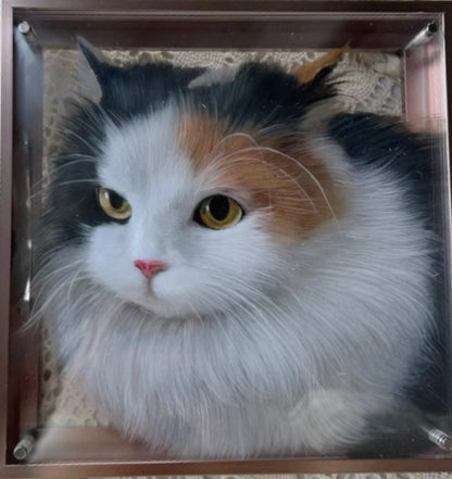 Multilayer 3D Acrylic Pet Portrait (6-Layer)
