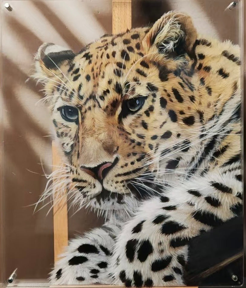 Multilayer 3D Acrylic Pet Portrait (6-Layer)