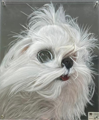 Multilayer 3D Acrylic Pet Portrait (6-Layer)